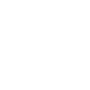 Wizards Realm Icon